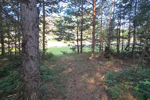 24661 187th St NW, Big Lake, MN 55309 - Photo 36