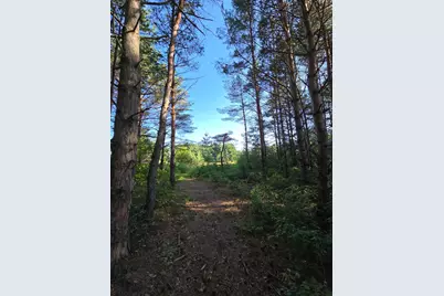 24661 187th Street NW, Big Lake, MN 55309 - Photo 42