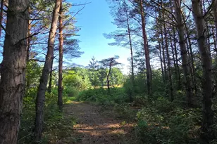 24661 187th St NW, Big Lake, MN 55309 - Photo 42