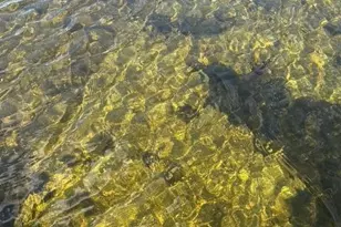 51021 Fish Lake Rd, Detroit Lakes, MN 56501 - Photo 54