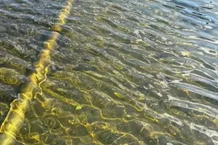 51021 Fish Lake Rd, Detroit Lakes, MN 56501 - Photo 44