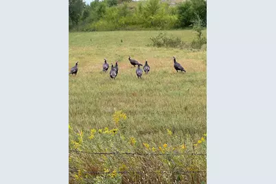 20371 180th Avenue N, Ulen, MN 56585 - Photo 62