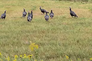 20371 180th Ave N, Ulen, MN 56585 - Photo 62