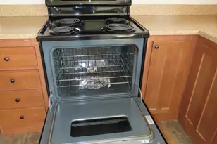 47375 Gone Golfin, Garrison, MN 56450 - Photo 8