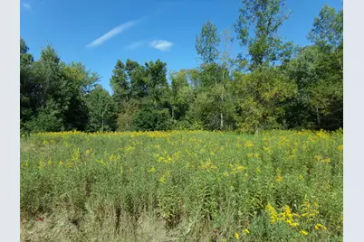 67Xx Old Sawmill Road, Harris, MN 55032 - Photo 4