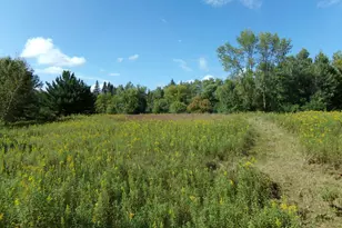 67Xx Old Sawmill Rd, Harris, MN 55032 - Photo 1