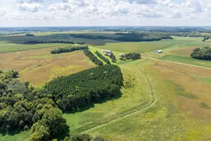 39321 141st Ave, Montgomery, MN 56069 - Photo 42