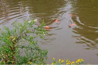 2131 21st Avenue, Baldwin, WI 54002 - Photo 32