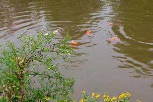 2131 21st Ave, Baldwin, WI 54002 - Photo 32