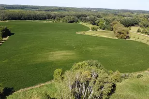 Xxxxx County Hwy 12, Dalton, MN 56324 - Photo 1