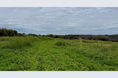 16Xxx Welch Short Cut, Welch Township, MN 55089 - Photo 16