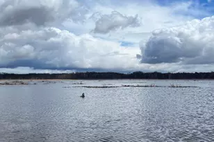 17265 Ward Lake Dr NW, Andover, MN 55304 - Photo 82