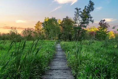17265 Ward Lake Drive NW, Andover, MN 55304 - Photo 76