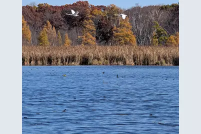 17265 Ward Lake Drive NW, Andover, MN 55304 - Photo 86