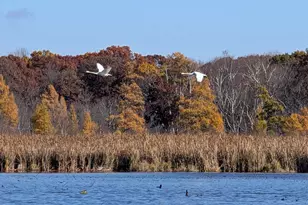 17265 Ward Lake Dr NW, Andover, MN 55304 - Photo 86