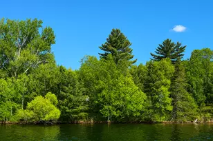 15019 Woodland Beach Ln, Deerwood, MN 56444 - Photo 1