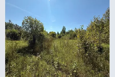 Tbd Hwy 11 (Parcel A), Loman, MN 56654 - Photo 58