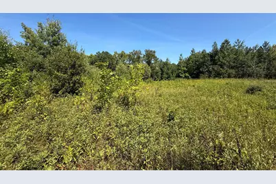 Tbd Hwy 11 (Parcel A), Loman, MN 56654 - Photo 54