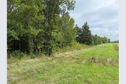 Tbd Hwy 11 (Parcel A), Loman, MN 56654 - Photo 12