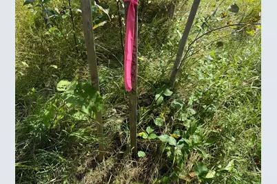 Tbd Hwy 11 (Parcel A), Loman, MN 56654 - Photo 14