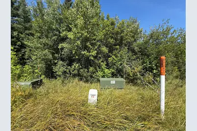 Tbd Hwy 11 (Parcel A), Loman, MN 56654 - Photo 64
