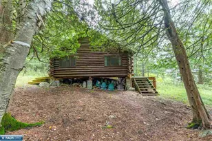 5262 Ely Island S, Tower, MN 55790 - Photo 4