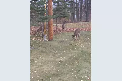 34092 Tower Road, Albany, MN 56307 - Photo 28