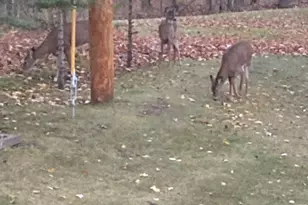 34092 Tower Rd, Albany, MN 56307 - Photo 28