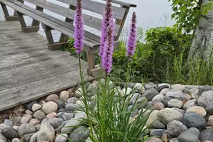 4234 Winnie Dam Ln NE, Deer River, MN 56636 - Photo 6