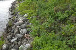 4234 Winnie Dam Ln NE, Deer River, MN 56636 - Photo 90