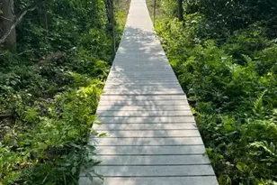 000 Tiger Street NW, Isanti, MN 55040 - Photo 36