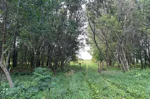 68794 162nd St, Albert Lea, MN 56007 - Photo 1