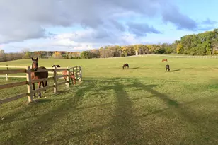 68157 340th St, Watkins, MN 55389 - Photo 36