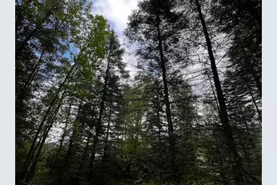 Tract A Jewel Drive, Park Rapids, MN 56470 - Photo 22