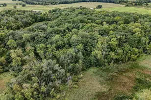 Tbd 190th St, Long Prairie, MN 56347 - Photo 1