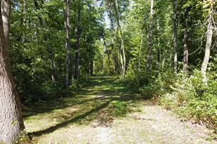 24126 Co Rd 19, Merrifield, MN 56465 - Photo 52