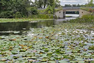 1843 60th Ave, Alden Twp, WI 54020 - Photo 22