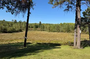 35399 County 4, Lake George Township, MN 56458 - Photo 30