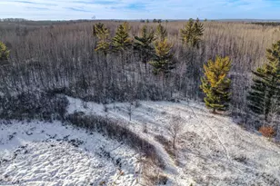 35399 County 4, Lake George Township, MN 56458 - Photo 34