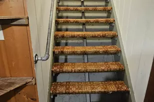 310 3rd St S, Browns Valley, MN 56219 - Photo 38