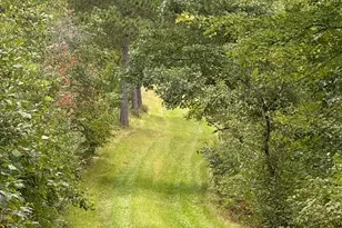 31455 Nagel Rd, Pequot Lakes, MN 56472 - Photo 1