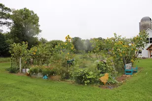 14984 135th St, Foreston, MN 56330 - Photo 26