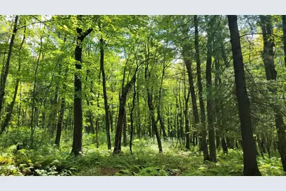 N5314 765th Street, Elk Mound, WI 54739 - Photo 22