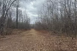 33227 State Road 35, Danbury, WI 54830 - Photo 42