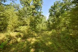 33227 State Road 35, Danbury, WI 54830 - Photo 32
