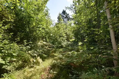 33227 State Road 35, Danbury, WI 54830 - Photo 36