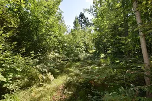 33227 State Road 35, Danbury, WI 54830 - Photo 36