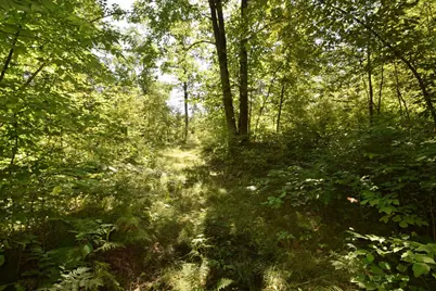 33227 State Road 35, Danbury, WI 54830 - Photo 34