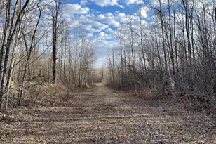 33227 State Road 35, Danbury, WI 54830 - Photo 44