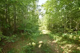 33227 State Road 35, Danbury, WI 54830 - Photo 30